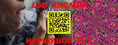 гидропоника Будённовск