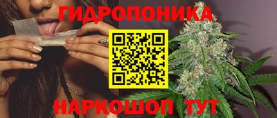 гидропоника Будённовск