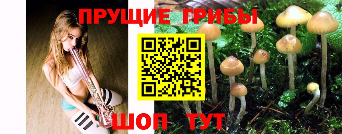 Россошь  Псилоцибиновые грибы Magic Shrooms  Вход с VPN 
